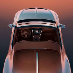 BMW Concept Skytop (6).jpeg