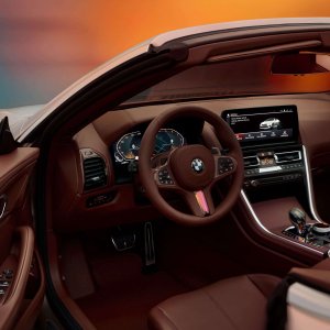 BMW Concept Skytop (8).jpeg
