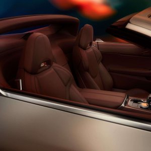 BMW Concept Skytop (10).jpeg